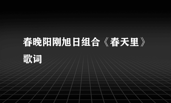 春晚阳刚旭日组合《春天里》歌词