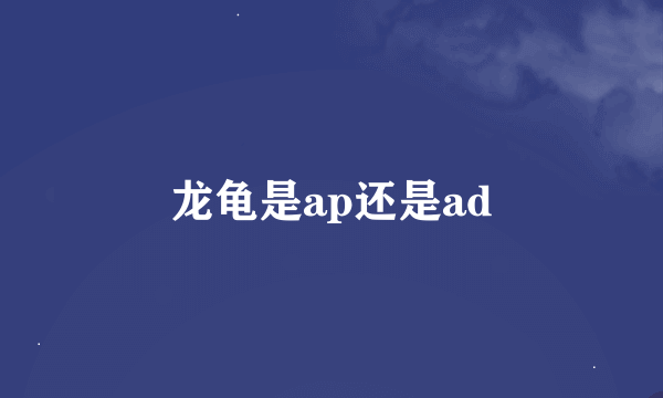 龙龟是ap还是ad