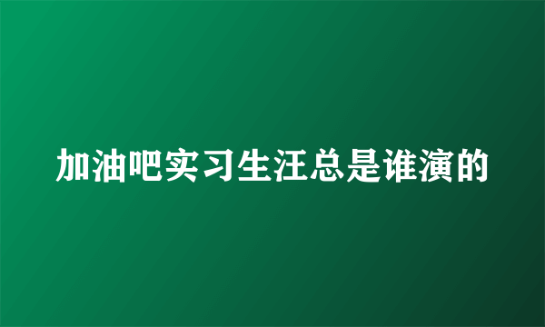 加油吧实习生汪总是谁演的