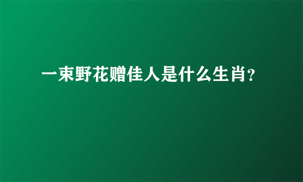 一束野花赠佳人是什么生肖？