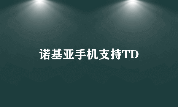 诺基亚手机支持TD