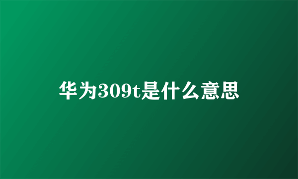 华为309t是什么意思