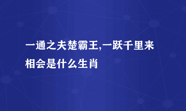 一通之夫楚霸王,一跃千里来相会是什么生肖