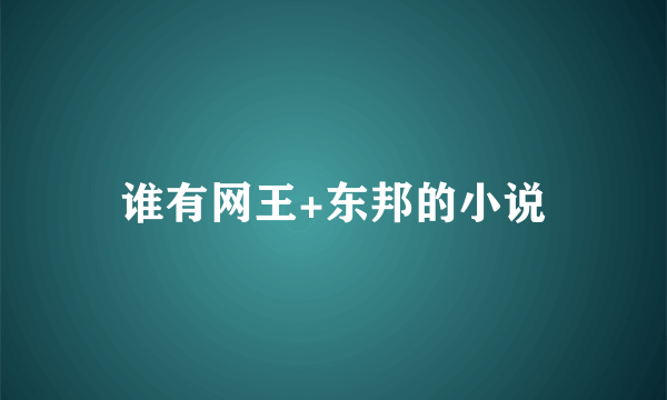 谁有网王+东邦的小说