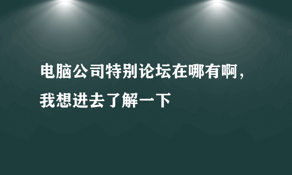 电脑公司特别论坛在哪有啊，我想进去了解一下