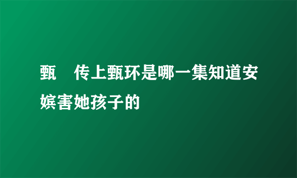 甄嬛传上甄环是哪一集知道安嫔害她孩子的