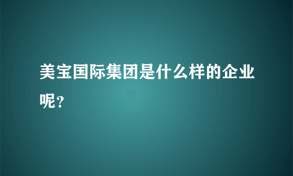 美宝国际集团是什么样的企业呢？