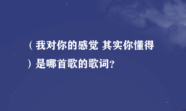 （我对你的感觉 其实你懂得）是哪首歌的歌词？