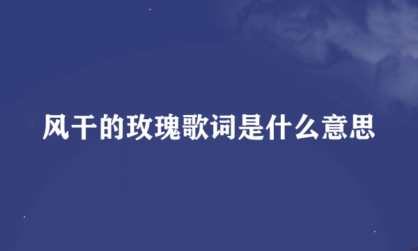 风干的玫瑰歌词是什么意思