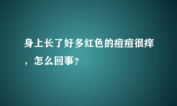 身上长了好多红色的痘痘很痒，怎么回事？