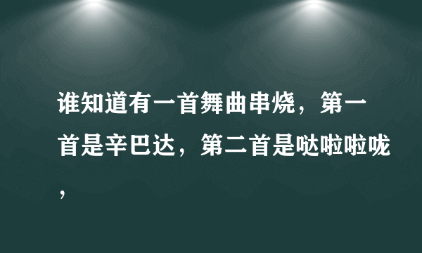 谁知道有一首舞曲串烧，第一首是辛巴达，第二首是哒啦啦咙，