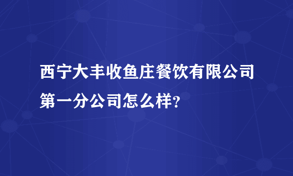 西宁大丰收鱼庄餐饮有限公司第一分公司怎么样？