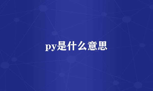 py是什么意思