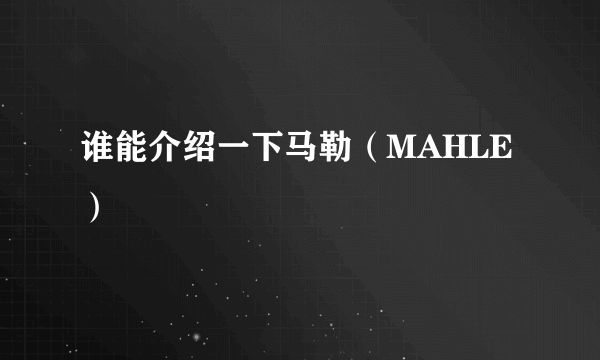 谁能介绍一下马勒（MAHLE）