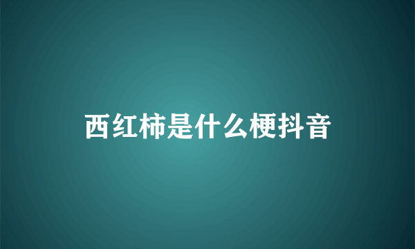 西红柿是什么梗抖音