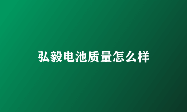 弘毅电池质量怎么样