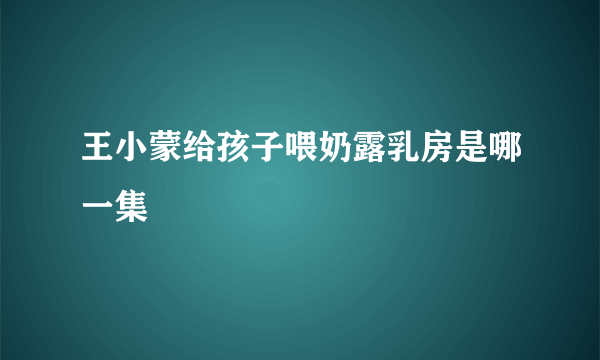 王小蒙给孩子喂奶露乳房是哪一集