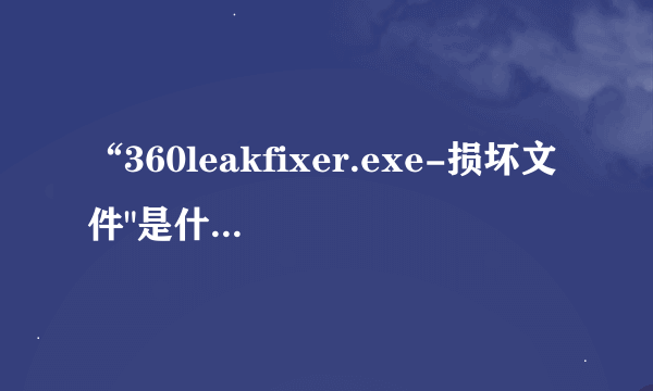 “360leakfixer.exe-损坏文件