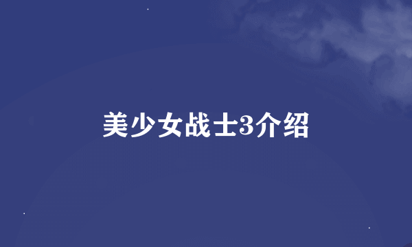 美少女战士3介绍