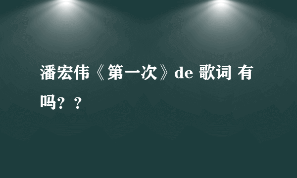 潘宏伟《第一次》de 歌词 有吗？？