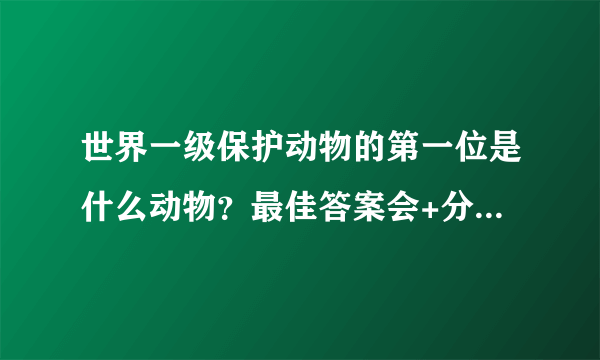 世界一级保护动物的第一位是什么动物？最佳答案会+分的！~~