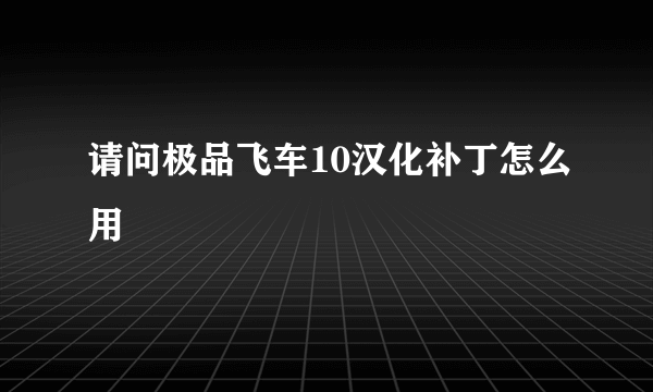 请问极品飞车10汉化补丁怎么用