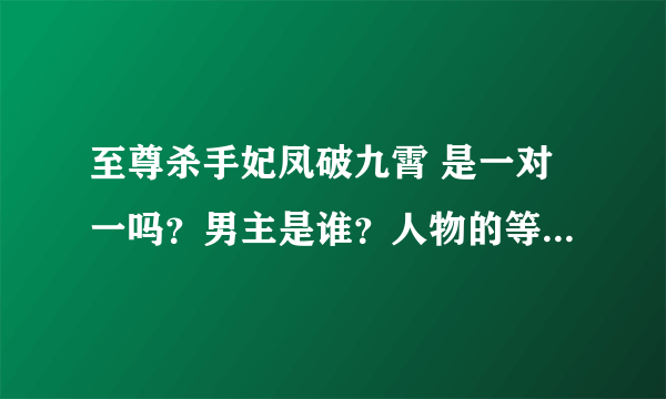 至尊杀手妃凤破九霄 是一对一吗？男主是谁？人物的等级设定是什么！！！求大神告知！！急！