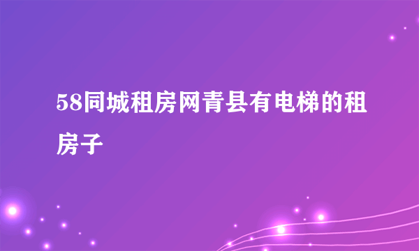 58同城租房网青县有电梯的租房子