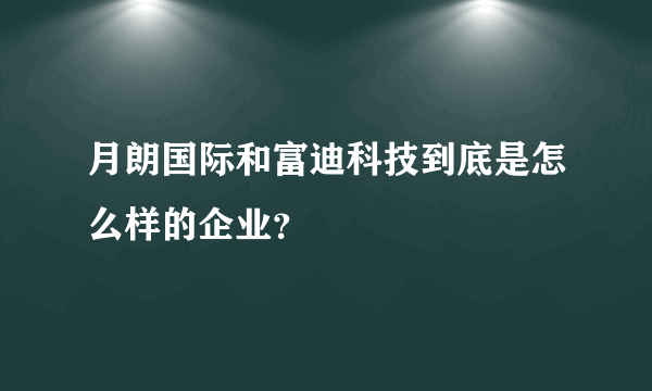 月朗国际和富迪科技到底是怎么样的企业？