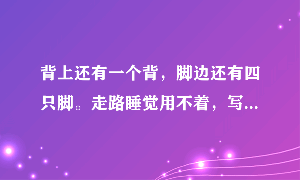 背上还有一个背，脚边还有四只脚。走路睡觉用不着，写字画画要它帮，猜谜语，猜F是什么生肖