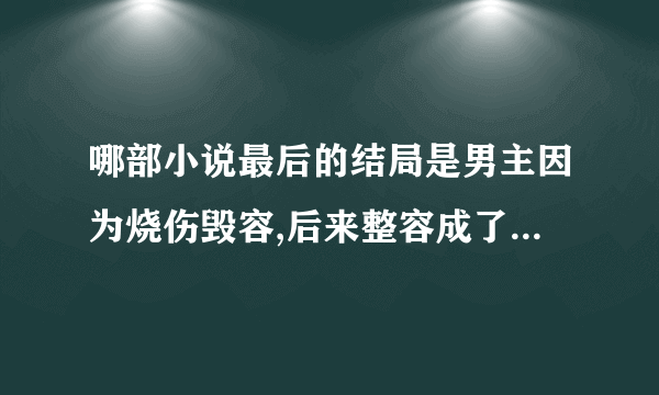 哪部小说最后的结局是男主因为烧伤毁容,后来整容成了别的样子,女主认不出来