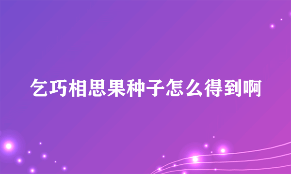 乞巧相思果种子怎么得到啊