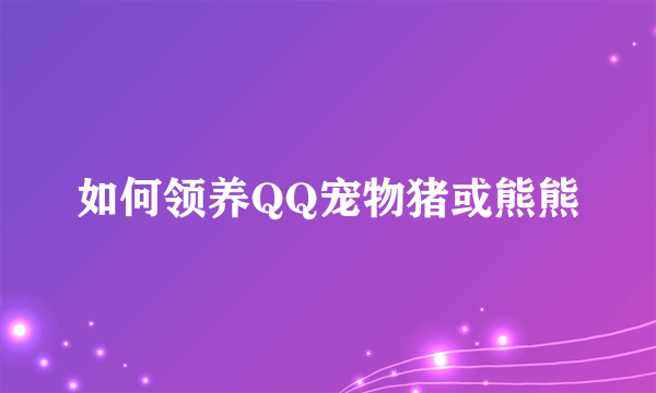 如何领养QQ宠物猪或熊熊