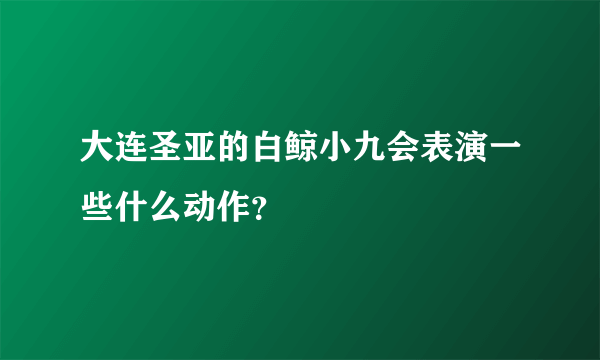 大连圣亚的白鲸小九会表演一些什么动作？