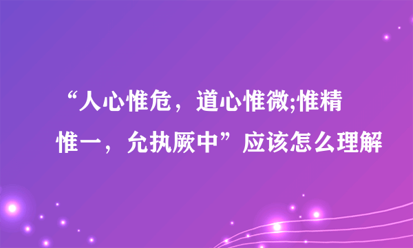 “人心惟危，道心惟微;惟精惟一，允执厥中”应该怎么理解