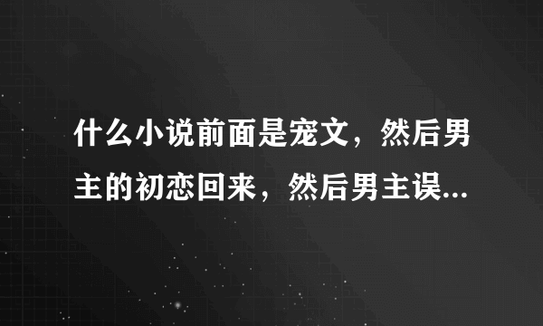 什么小说前面是宠文，然后男主的初恋回来，然后男主误会女主，把女主心丧透了，女主离开，但找到结局美好