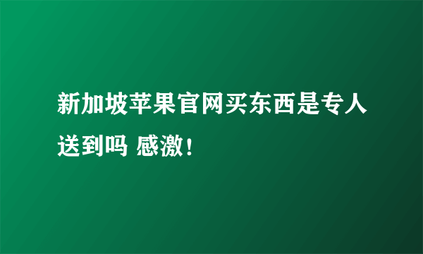 新加坡苹果官网买东西是专人送到吗 感激！