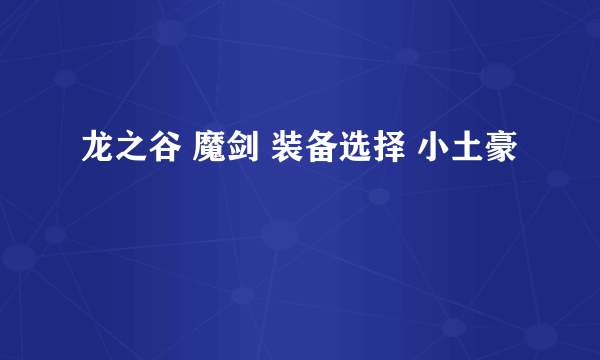 龙之谷 魔剑 装备选择 小土豪