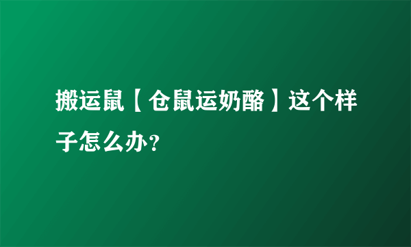 搬运鼠【仓鼠运奶酪】这个样子怎么办？