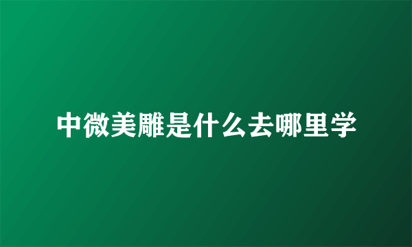 中微美雕是什么去哪里学