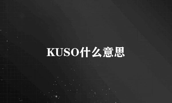 KUSO什么意思