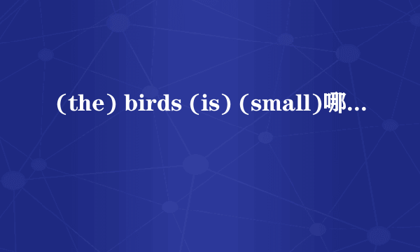 (the) birds (is) (small)哪个是错误的？