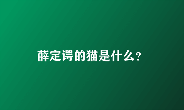 薛定谔的猫是什么？