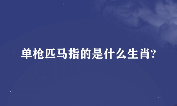 单枪匹马指的是什么生肖?