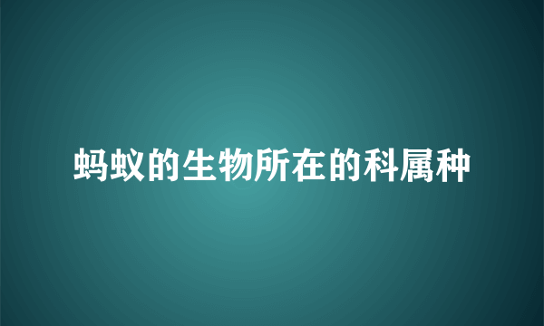 蚂蚁的生物所在的科属种