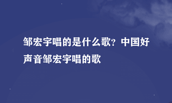 邹宏宇唱的是什么歌？中国好声音邹宏宇唱的歌