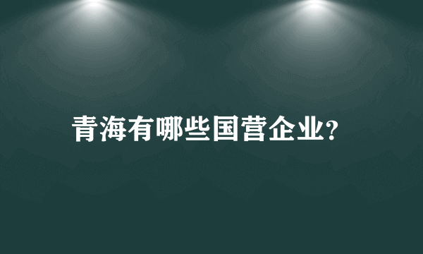 青海有哪些国营企业？