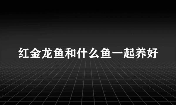 红金龙鱼和什么鱼一起养好