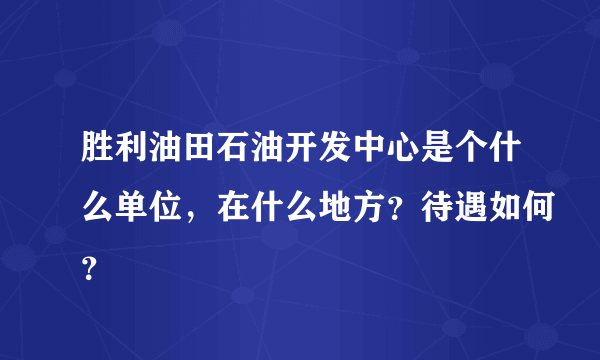 胜利油田石油开发中心是个什么单位，在什么地方？待遇如何？