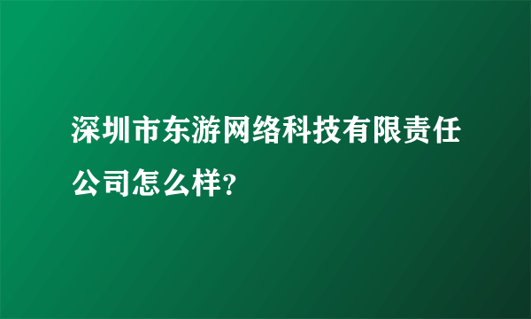 深圳市东游网络科技有限责任公司怎么样？